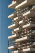 20110828_103545 Bosco Verticale e torre Pelli.jpg